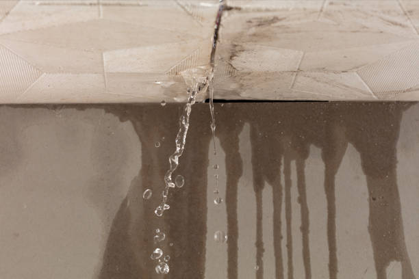 Professional Water Damage Repair technician working in Okemos, MI